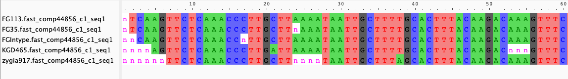 Example of the alignment of one of the locus.