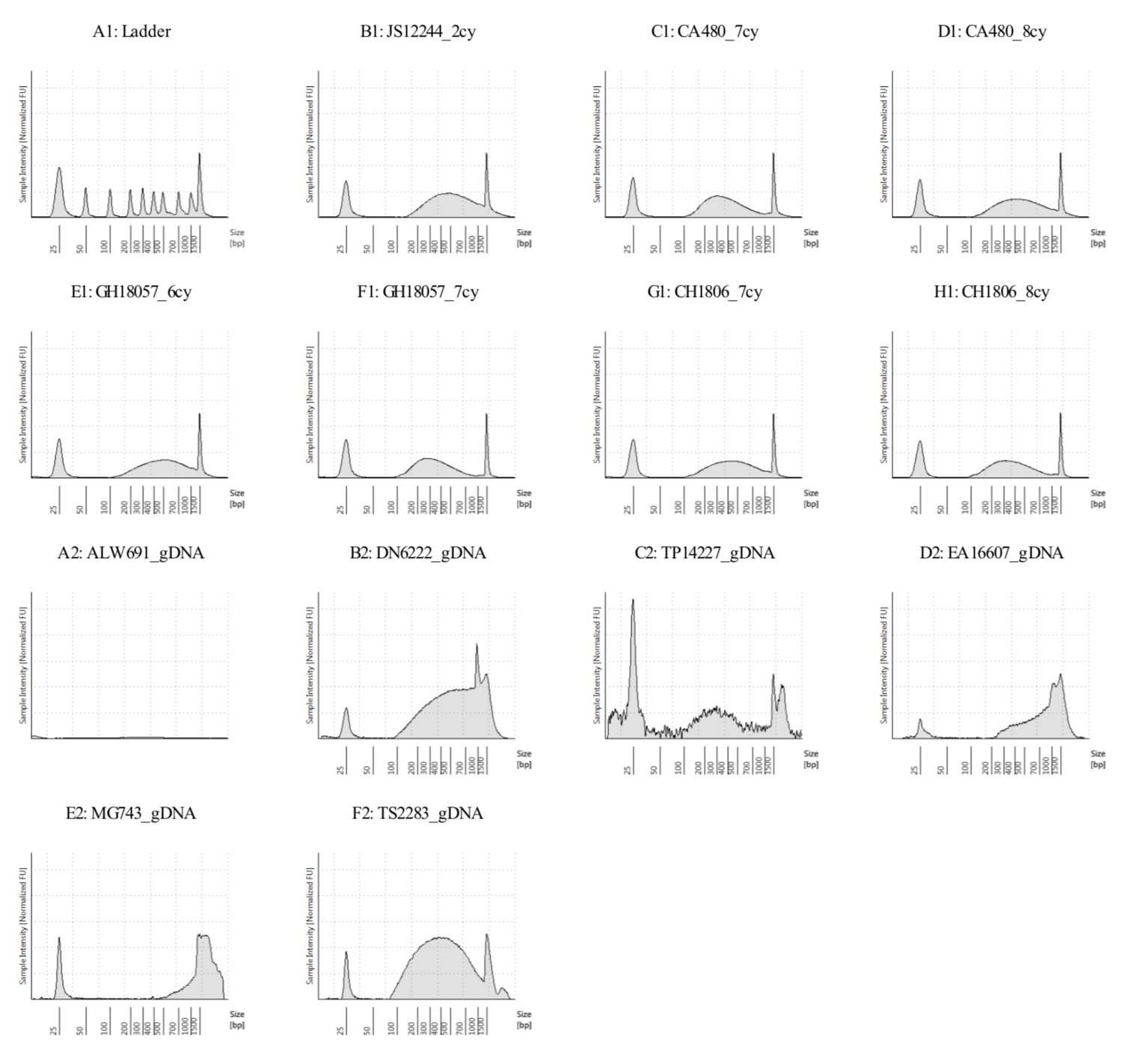 Sonication summary